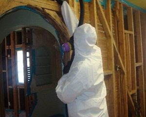 MOLD REMEDIATION